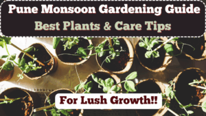 Pune Monsoon Gardening Guide 2025 – Best Plants & Care Tips for Lush Growth