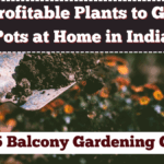Top Profitable Plants to Grow in Pots at Home in India – 2025 Balcony Gardening Guide