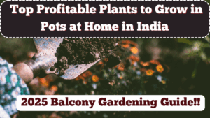 Top Profitable Plants to Grow in Pots at Home in India – 2025 Balcony Gardening Guide