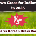 Best Lawn Grass for Indian Homes in 2025 – Bermuda vs Korean Grass Compared